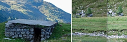 geier-junssee123.jpg