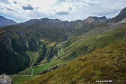 geier-junssee212.jpg