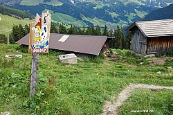 geier-junssee217.jpg
