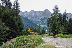 geier-junssee220.jpg