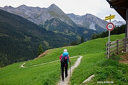 geier-junssee222.jpg