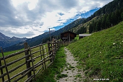geier-junssee224.jpg
