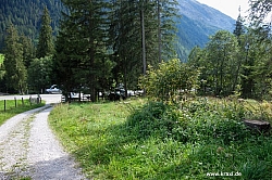 geier-junssee229.jpg