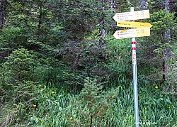 rofanspitze-006.jpg