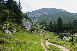 rofanspitze-014.jpg