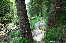 rofanspitze-041.jpg
