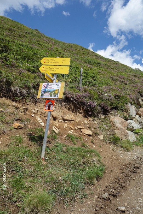 wurmtaler-kopf-007.jpg