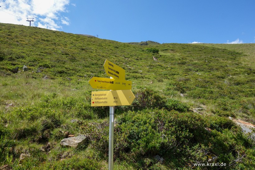 wurmtaler-kopf-009.jpg