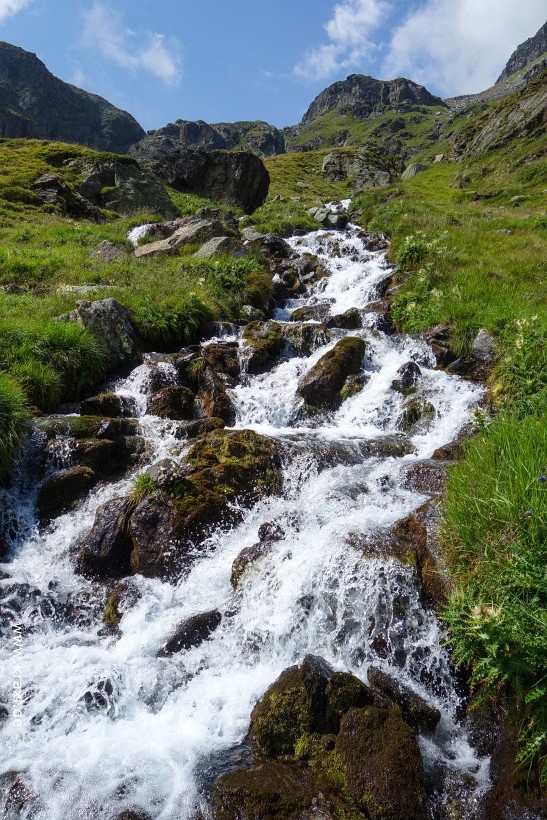 wurmtaler-kopf-015.jpg