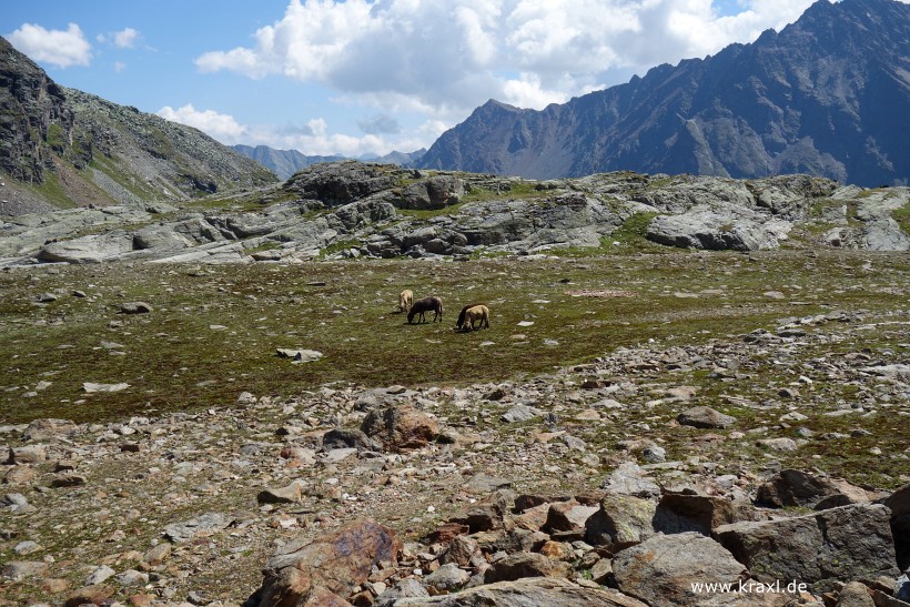 wurmtaler-kopf-054.jpg
