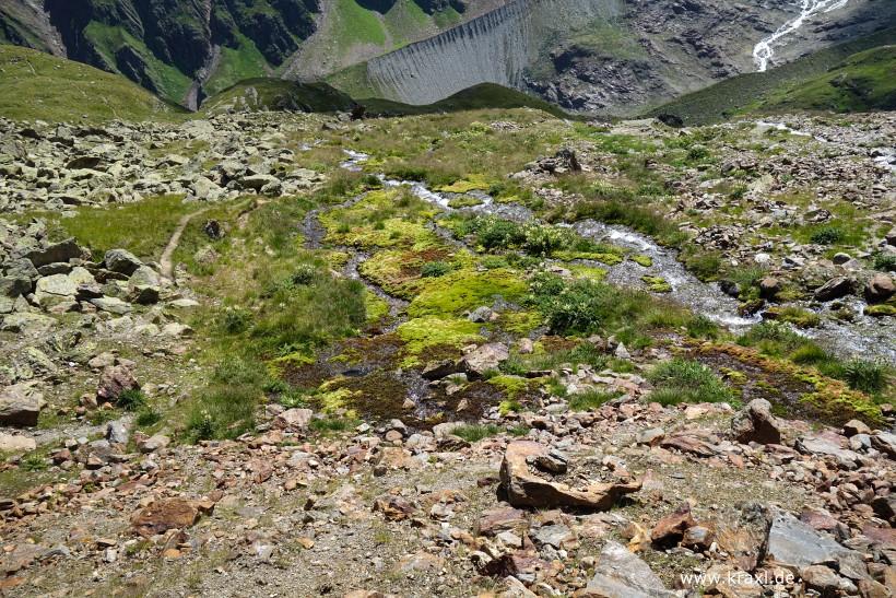 wurmtaler-kopf-057.jpg