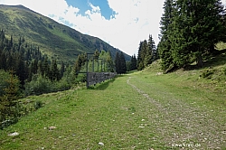 wurmtaler-kopf-002.jpg