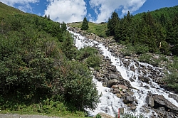 wurmtaler-kopf-006.jpg
