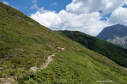 wurmtaler-kopf-008.jpg
