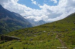 wurmtaler-kopf-012.jpg