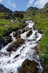 wurmtaler-kopf-015.jpg