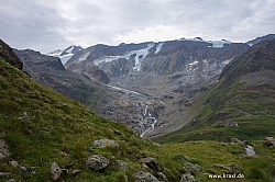 wurmtaler-kopf-019.jpg