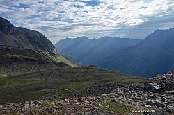 wurmtaler-kopf-025.jpg
