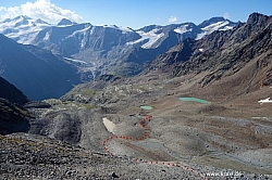 wurmtaler-kopf-033.jpg