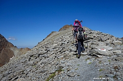 wurmtaler-kopf-034.jpg