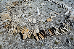 wurmtaler-kopf-045.jpg