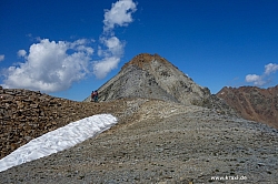 wurmtaler-kopf-046.jpg