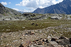 wurmtaler-kopf-054.jpg