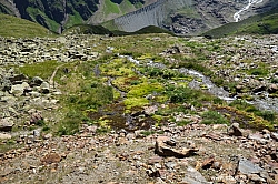 wurmtaler-kopf-057.jpg