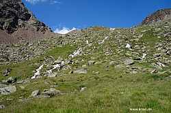 wurmtaler-kopf-058.jpg