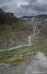 wurmtaler-kopf-065.jpg