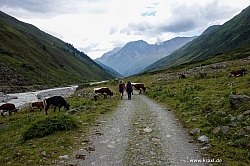 wurmtaler-kopf-075.jpg