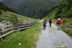 wurmtaler-kopf-078.jpg