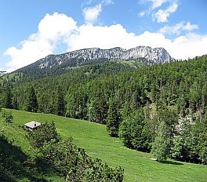 Orterer Alm - Blick auf die Benediktenwand