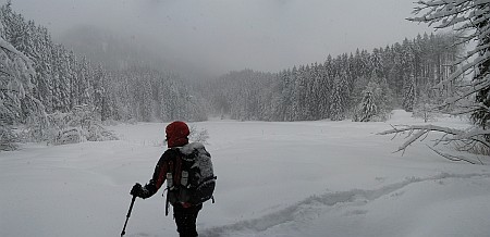 Am Bichlersee