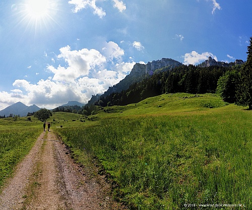 Blick von der Maureralm auf die Gedererwand. Wer bis hierher gewandert ist, hat den Abtweig nach rechts vor verlassen des Waldes verpasst und muss ein paar Meter zurück gehen. 