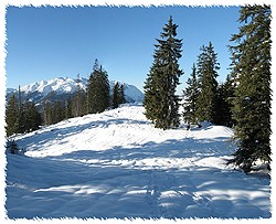 Auf der Hochfläche des Ameiskogels