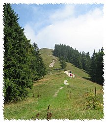 Baumgartenschneid