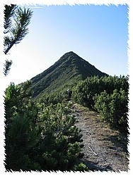 Gipfelkamm Brecherspitz