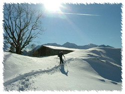 Hölleinalm - Rückweg von der Hochalm