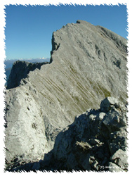 Der Hochnissl