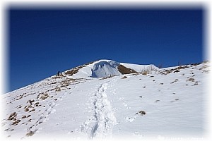 Kurz vor dem breiten Gipfelplateau der Hochplatte