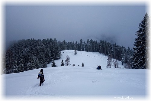 Holzeralm januar 2022