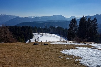 An der Holzeralm im März 22