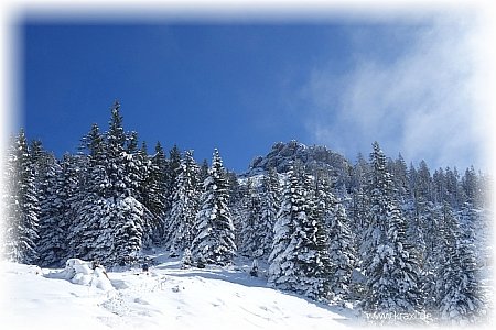 Gipfel Petersköplf - Zahmer Kaiser