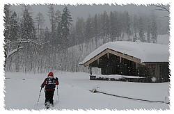 Bichleralm