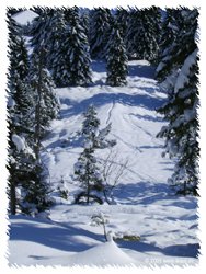 Aufstiegsspur oberhald der Rohntalalm