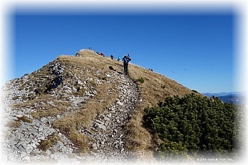 Sonntagshorn - Chiemgauer Alpen