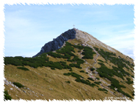 Gipfel Hinteres Sonnwendjoch